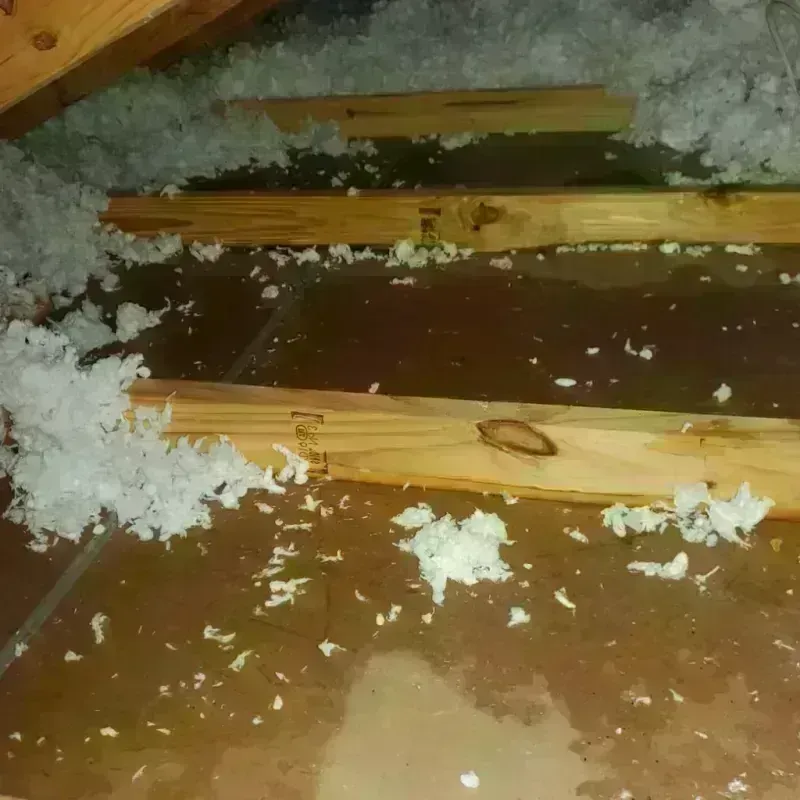 Attic Water Damage in Crawford County, KS